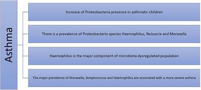 Lower Airway Microbiota